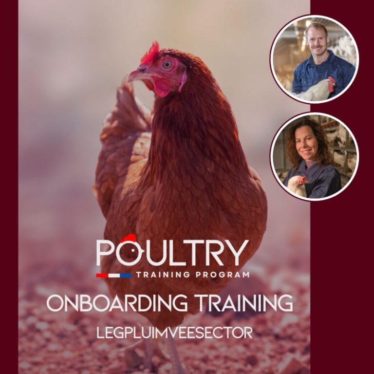 Afbeelding onboarding training